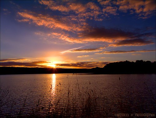 Le ciel de Brocéliande (Paimpont) by Christele D Photographie, <a href="http://www.facebook.com/christele.photo" target="_blank" rel="nofollow">• Ma page sur Faceb