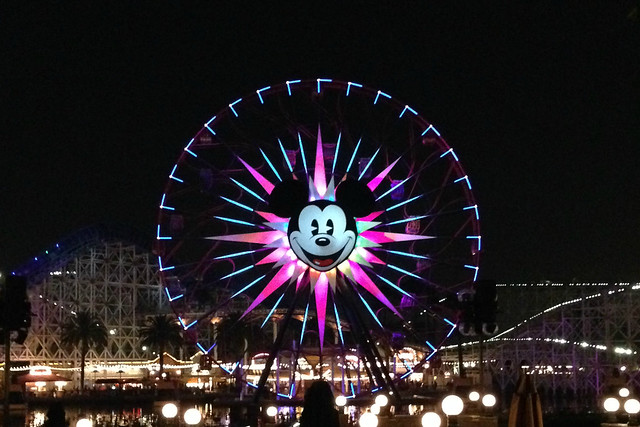 Disneyland - 2013