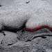 Láva z Kilauey, foto: Ondřej Krátoška