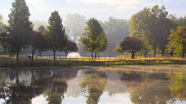 Morning Pond