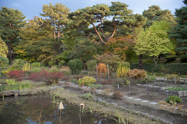 Oyakuen_10 Aizu Matsudaira's Royal Garden