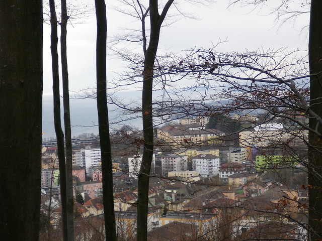 Vue de Lausanne de Sauvabelin 45091632
