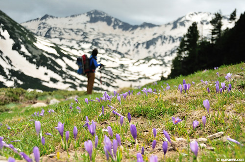 Springtime in Pirin | by .:: Maya ::.