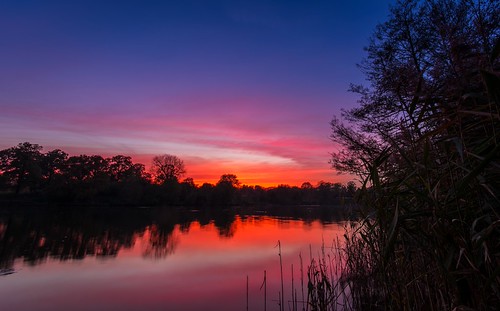 Red sky at night.... by James Waghorn, I only just made it in time for the sunset in the park this afternoon. It really was this vibrant a