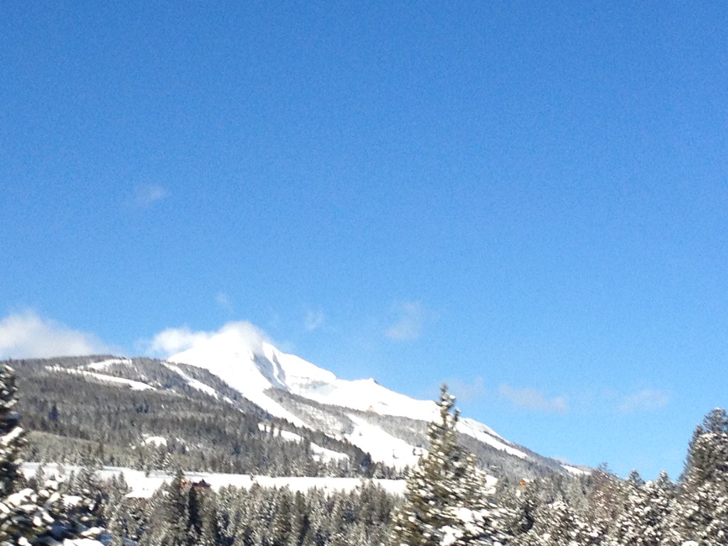 Mountain to Meadow