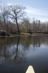 Musquodoboit River Canoeing