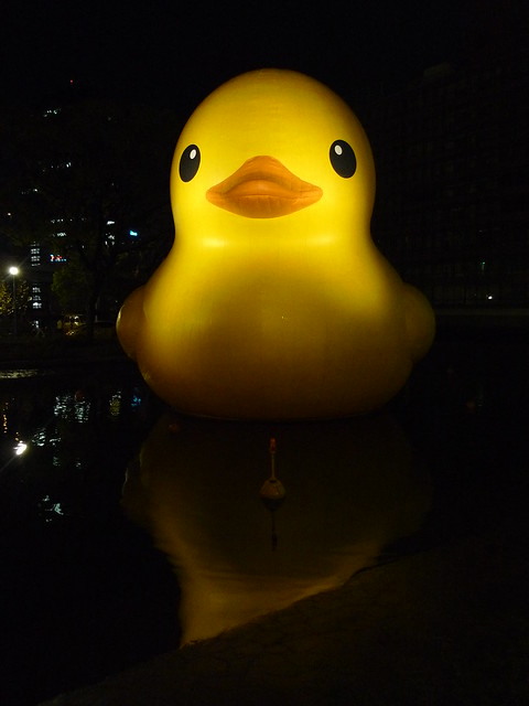 Night Rubber Duck （夜のラバー・ダック）