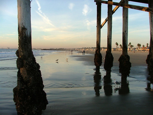 Under the Pier - Newport Beach - California - December2005.