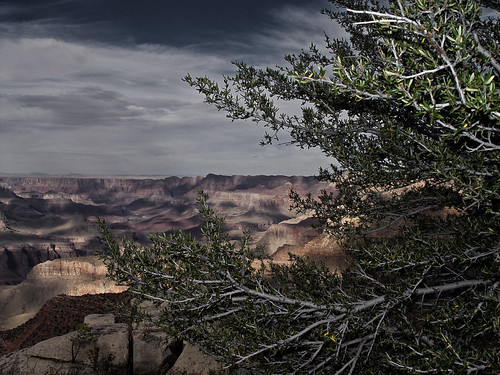 Grand Canyon, Arizona by Juli Kearns (Idyllopus)