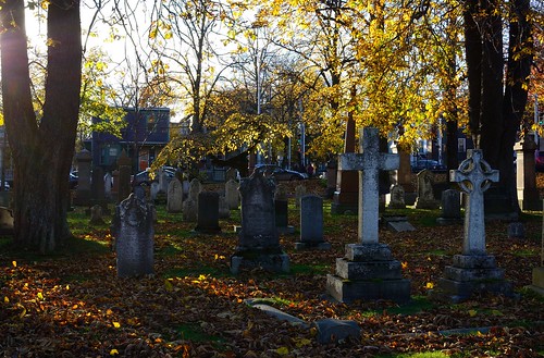 autumn trees urban canada fall graveyard leaves novascotia cross halifax monuments gravestones robiestreet