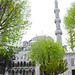 Blue Mosque (Sultan Ahmet Camii)