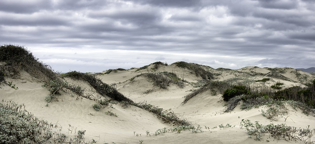Dune Panorama I