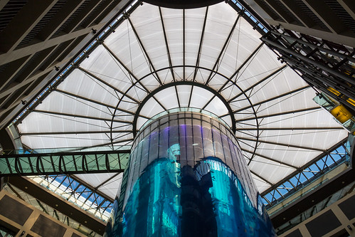 AquaDom, the world’s largest cylindrical aquarium