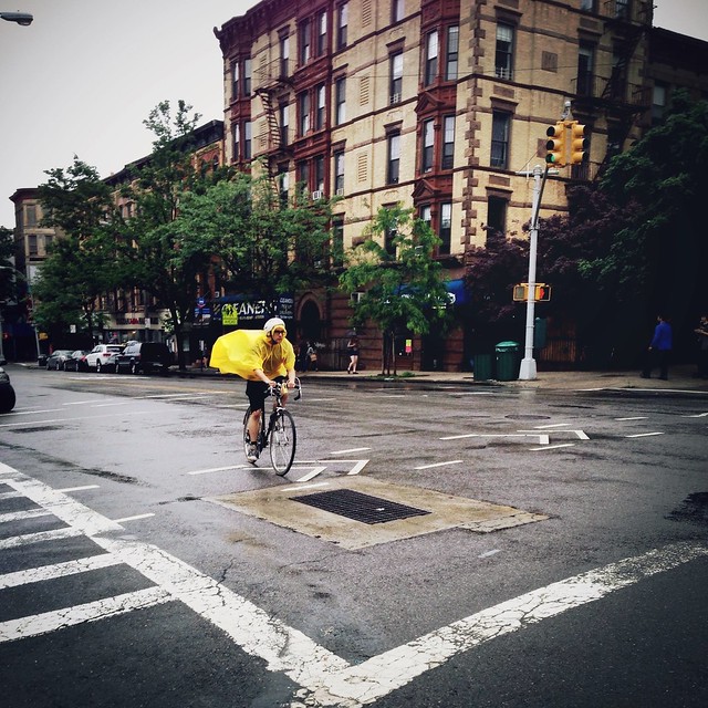 •Rain Rider• #aroundthehood #parkslope #Brooklyn #bike #rain #iamakittehcouch #sidewalkstories