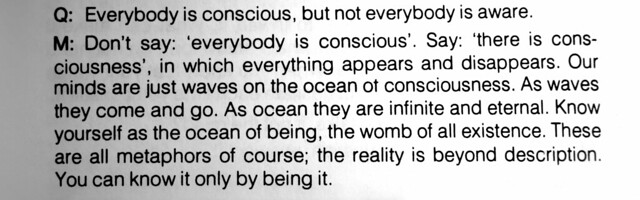 our minds are ju st waves on the ocean of consciousness.  as waves they come and go