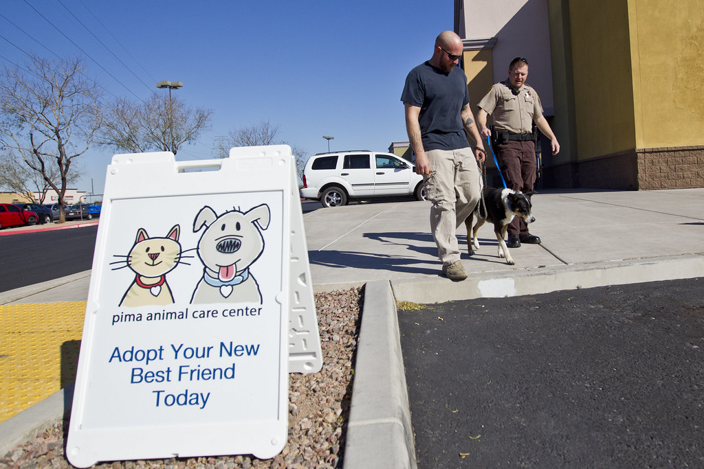 Pima Animal Care Center adoption weekend | Pima Animal Care … | Flickr