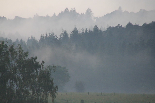 foggy landscape after thunderstorm