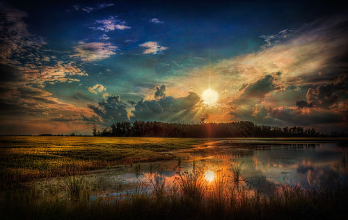 littlepond2 by newelly54, Olympus digital camera