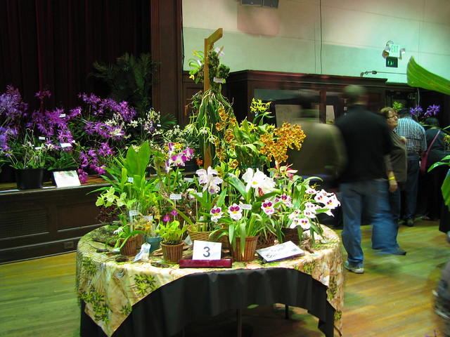 Five Cities Orchid Society