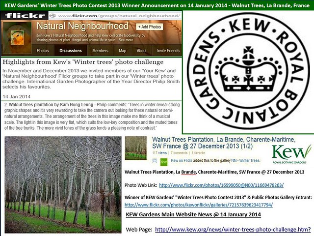 KEW Gardens’ Winter Trees Photo Contest 2013 : The 