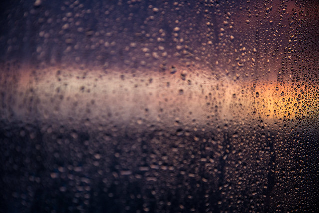 Four/FiftyTwo - Sunshine through the rain soaked window