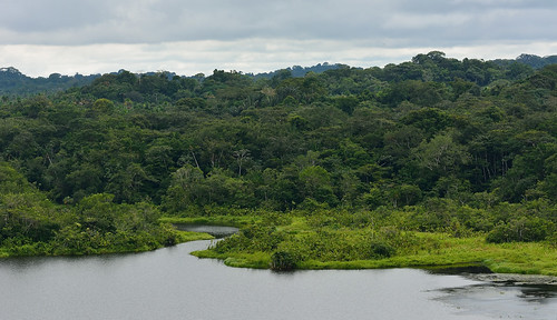 lake tower ecuador wildlife center canopy napo anangu