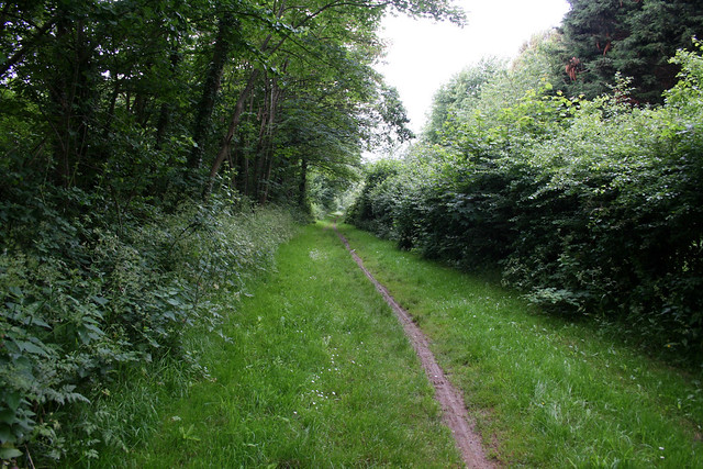 Path in Fawley