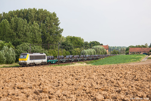 summer brown green field train groen belgium zug vert zomer été 13 alstom railways veld brun trein champ bruin spoorweg chemindefer tractis hoeselt vlaamsgewest