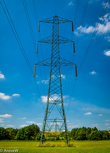 Electrifying | by AnnieWilcoxPhotography