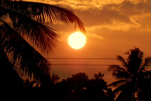 Sunrice by jeradmendis@photography, 