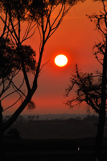 _DSC0018Red Sun．(C)Raymond J． Marcon， all rights reserved