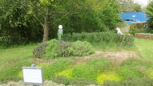 Herb garden and two 'herbies' near Ardingly College