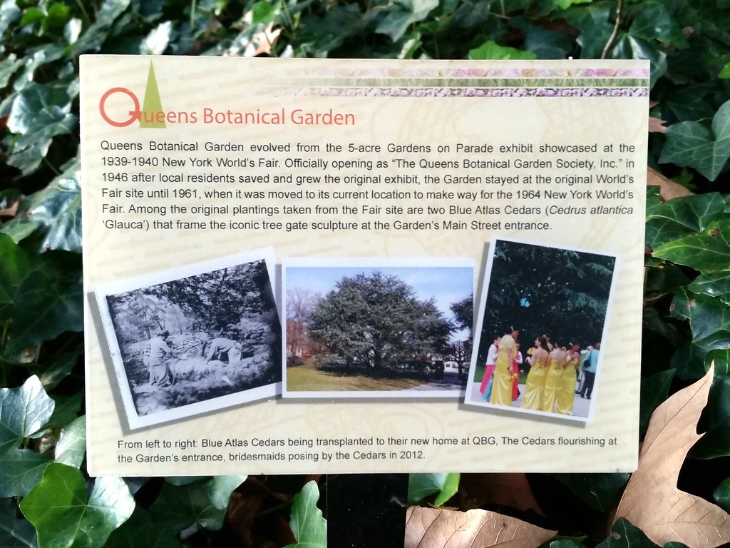 Queens Botanical Garden History Matt Green Flickr