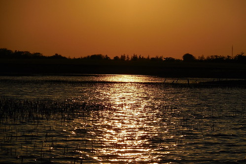 sunset sun lake sol denmark solnedgang jylland sø husby staby husbysø