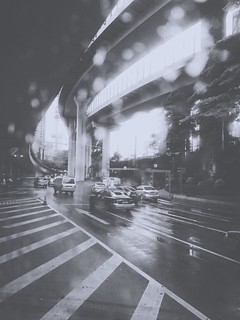 雨天下 | Kevin Ho | Flickr