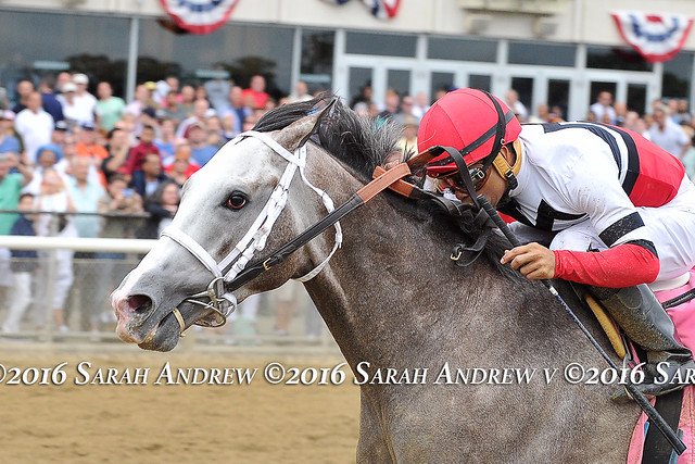 Fish Trappe Road makes the grade in the Dwyer at Belmont Park