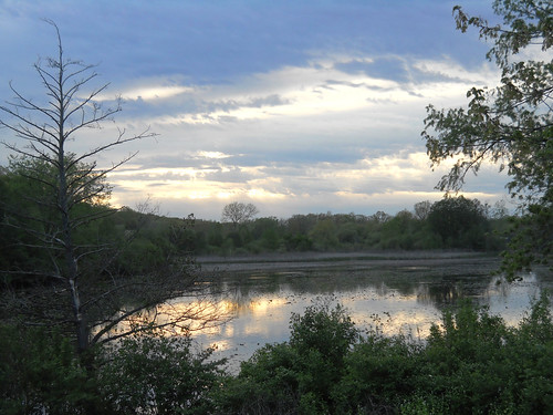 Evening Walk by ColleenM,           sunset river pond calm huronriver galluppark