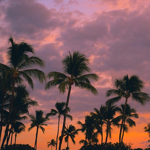 #alohafriday and #flashbackfriday colorful sunset at the @maunakeabeachhotel back in July. | by tommyshihphoto