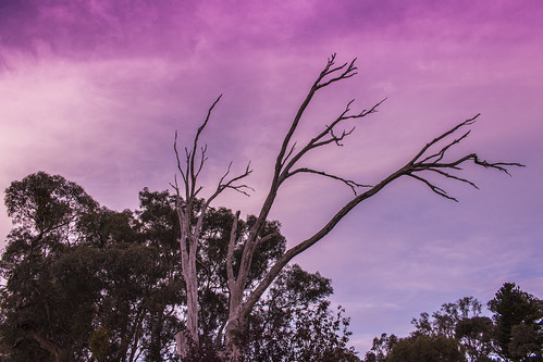 sunset summer sky cloud clouds country australia victoria regional harcourt