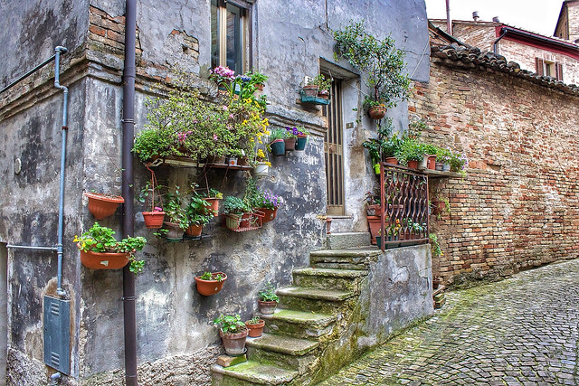 The Great Beauty Le Marche Style