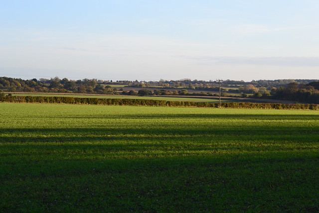 The Suffolk landscape