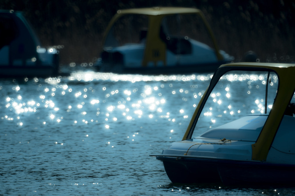 Shiny boat
