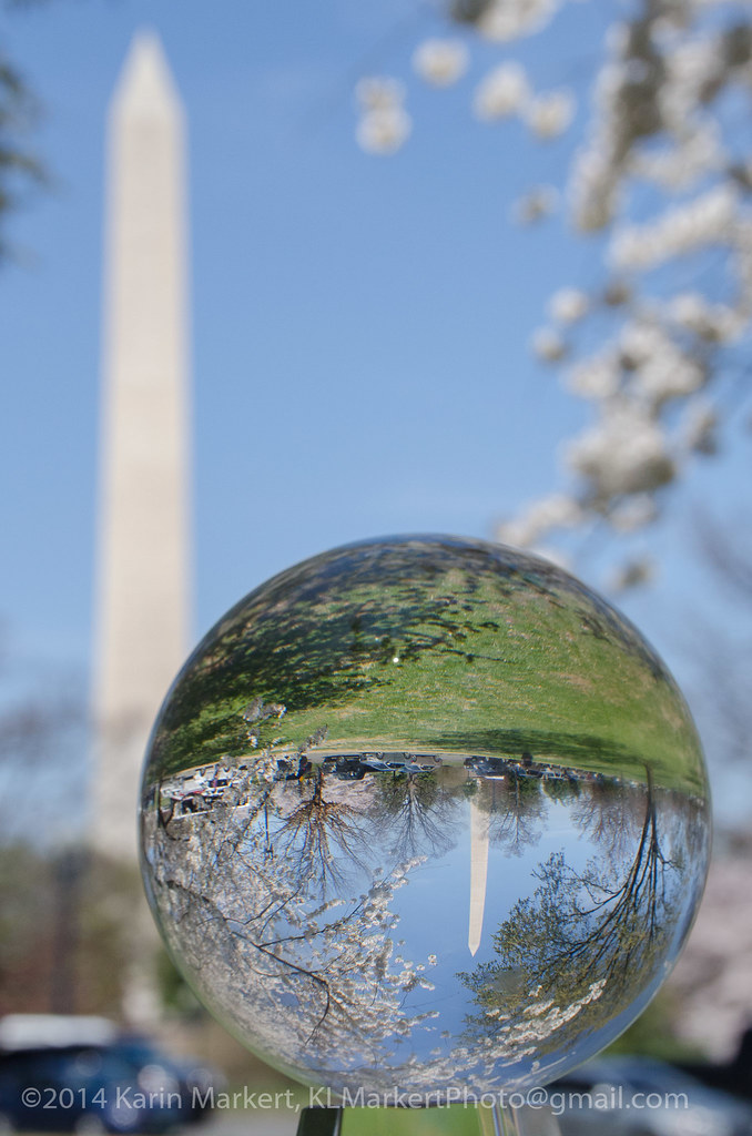 Crystal Ball Cherry Blossoms2-121 | National Cherry Blossom … | Flickr