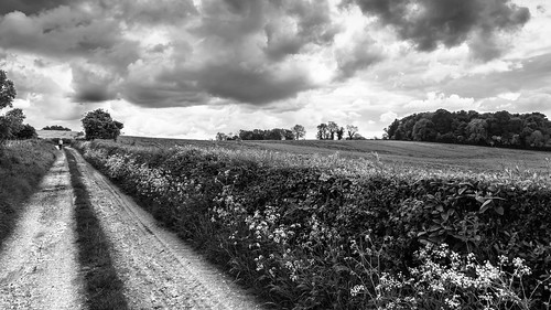 summer england blackandwhite monochrome weather clouds landscape countryside unitedkingdom oxfordshire steepleaston olympusm1240mmf28 olympusem5markii