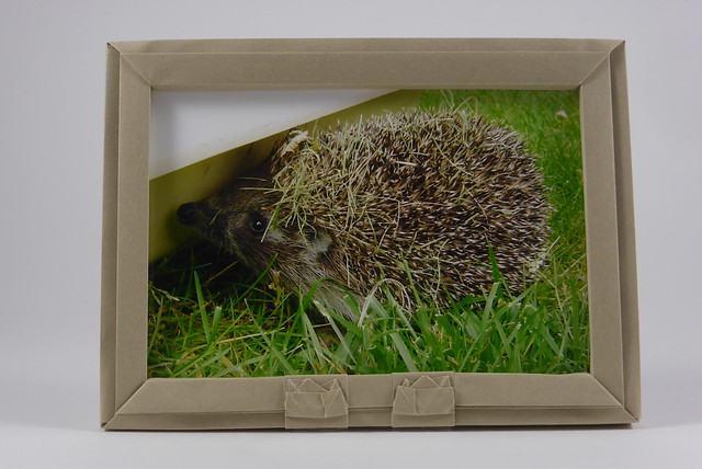 Origami picture frame with hedgehogs
