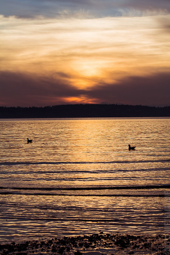 birdies by KennethLane, sunset beach water landscape dusk sound puget