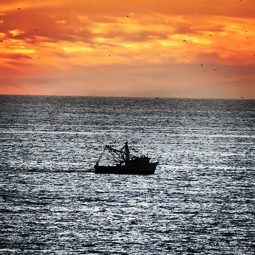De pesca by victorsaucedo, square lofi squareformat iphoneography instagramapp uploaded:by=instagram foursquare:venue=4f0396508