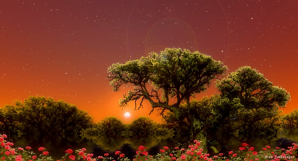 Sunset with Stars and Roses, Artwork by DMS - 8-7-14 - Signed