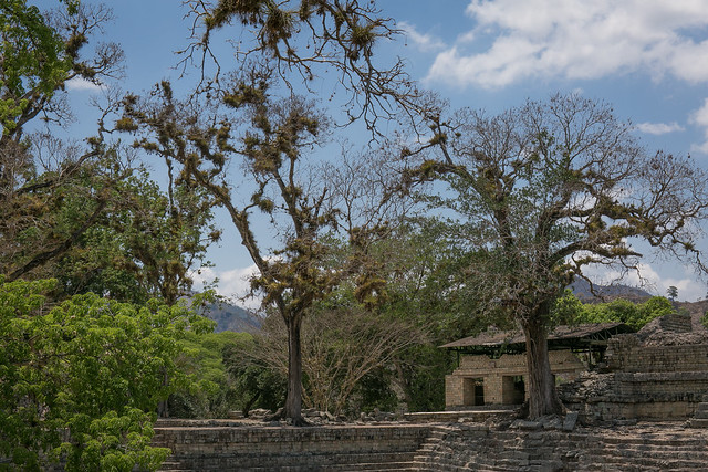 Mayan Ruins at Copán, Honduras