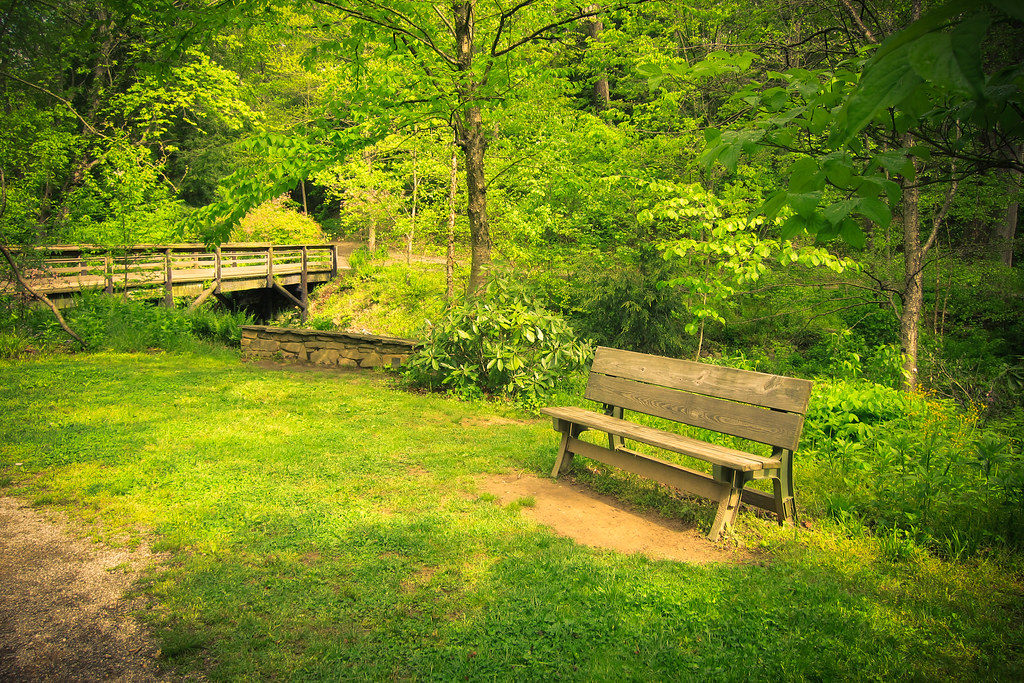 Bench And Bridge Botanical Gardens Asheville Nc Flickr